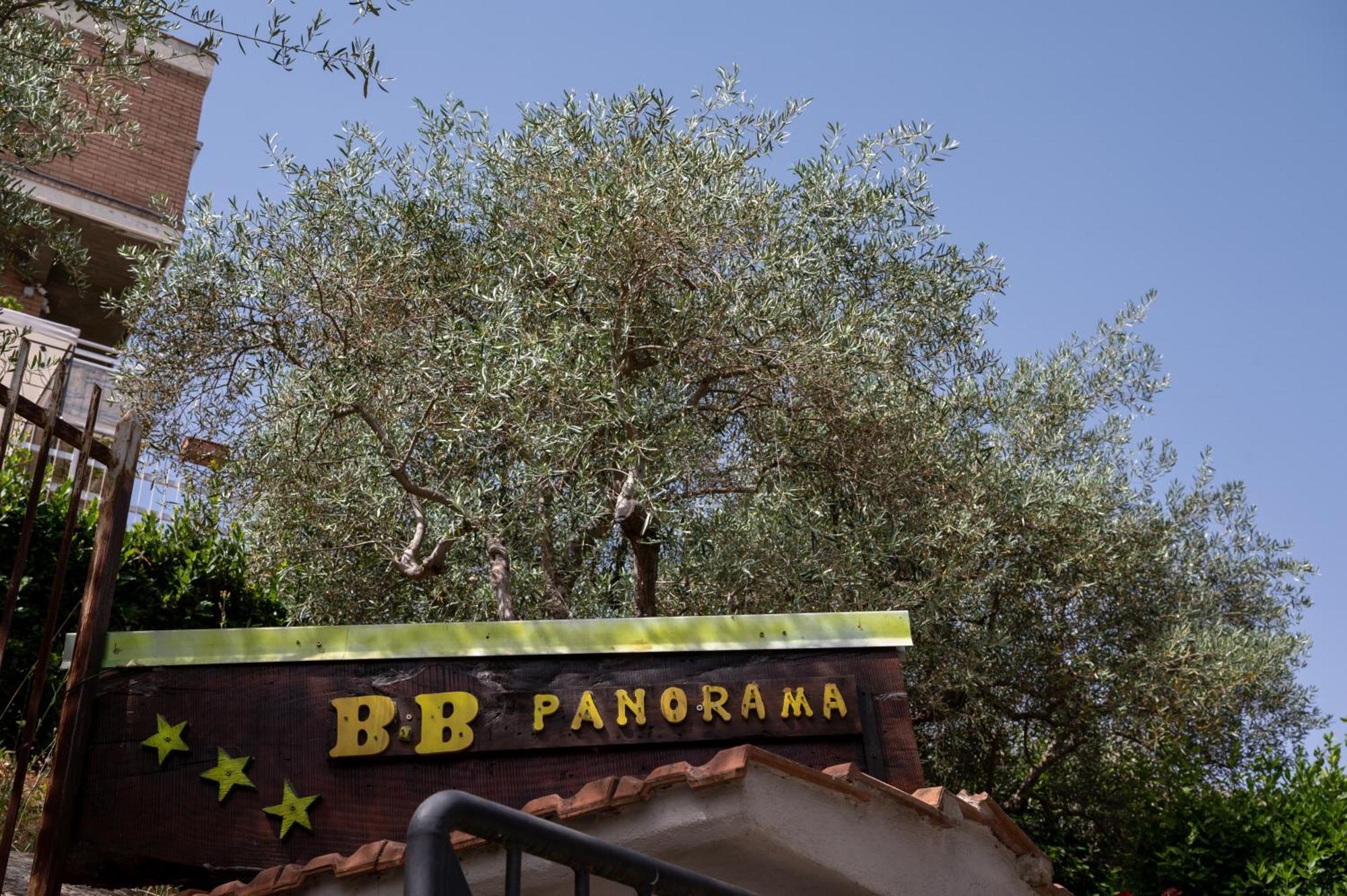 B&B Panorama カステルブオーノ エクステリア 写真